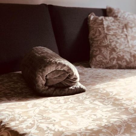 Le Petit Colmarien Hyper-Centre Apartman Kültér fotó