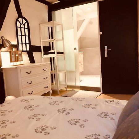 Le Petit Colmarien Hyper-Centre Apartman Kültér fotó