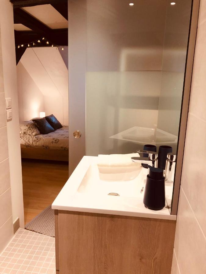Le Petit Colmarien Hyper-Centre Apartman Kültér fotó