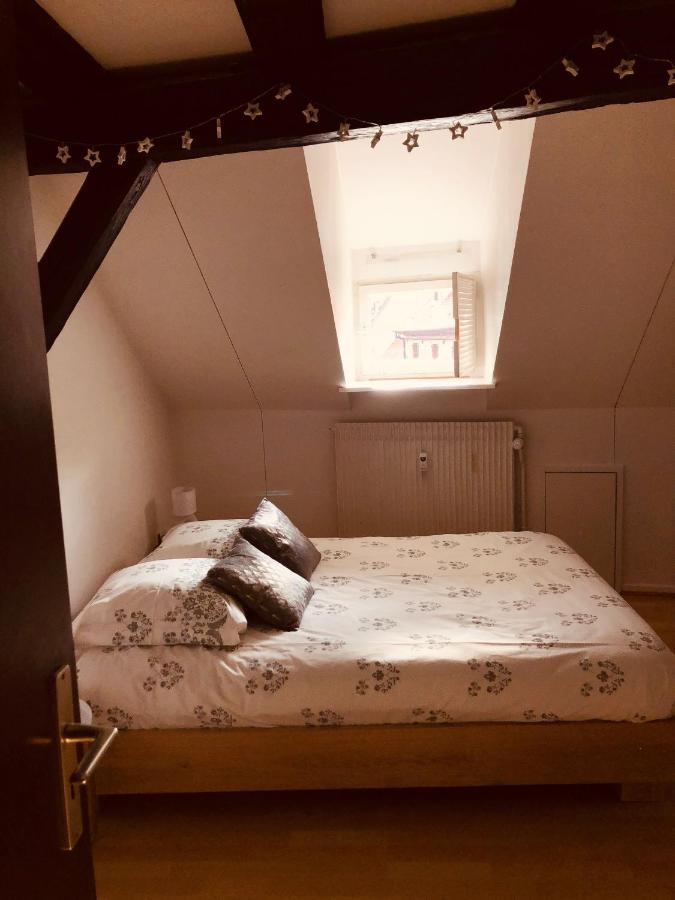 Le Petit Colmarien Hyper-Centre Apartman Kültér fotó